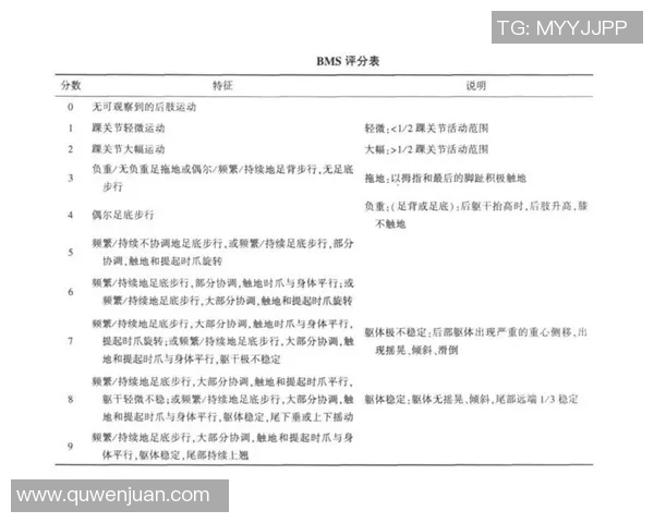 南京足球队在世锦赛中的个人能力表现分析与点评